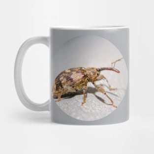 Springtime Weevil Macro Photograph Mug